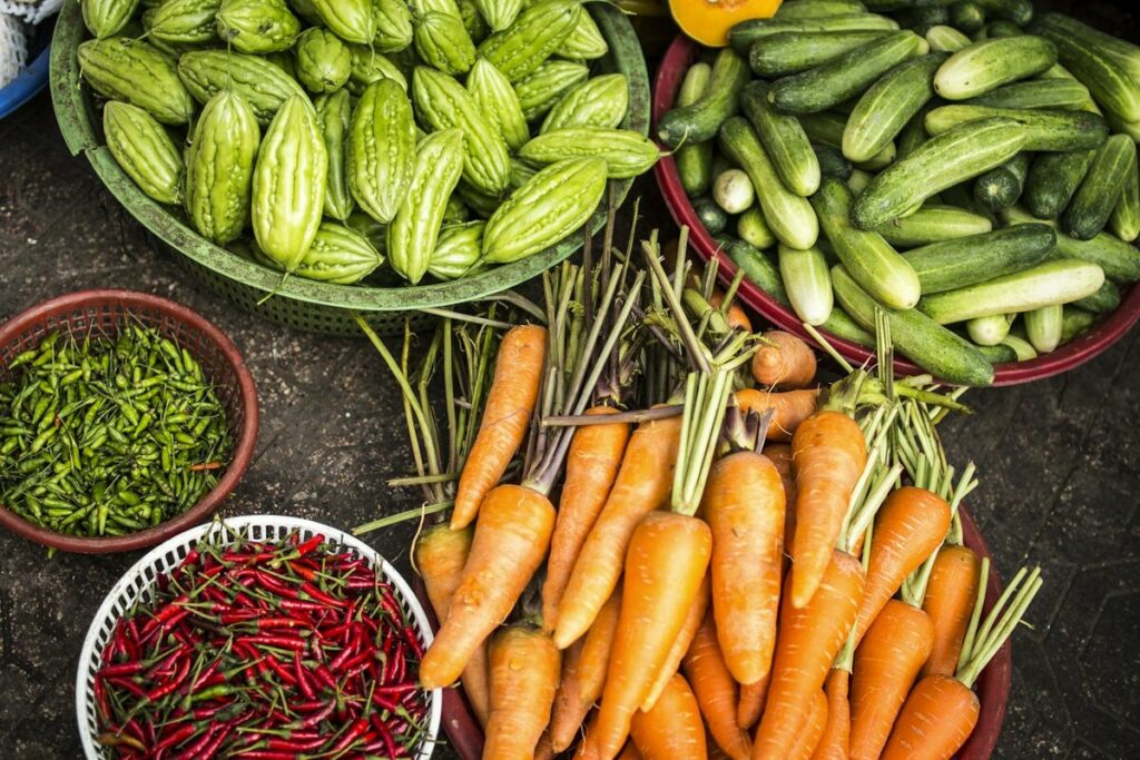Troupeau de bovins en pâturage