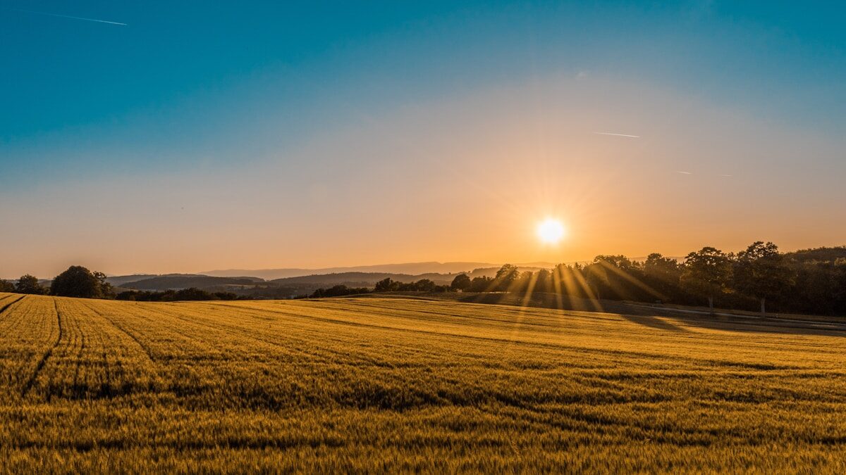 Prairie vallonnee dans la campagne du Sud-Ouest
