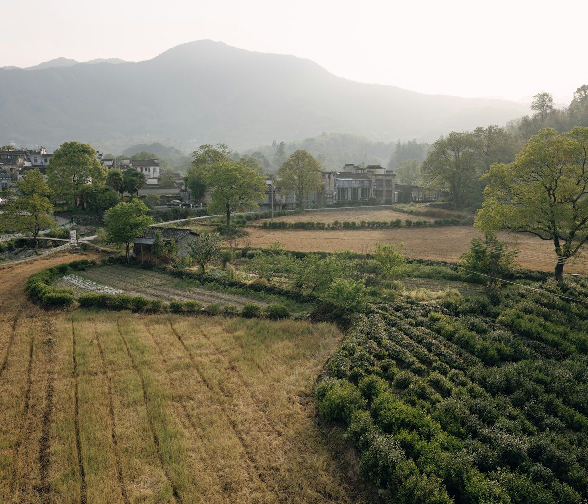 Paysage rural européen — exploitation agricole