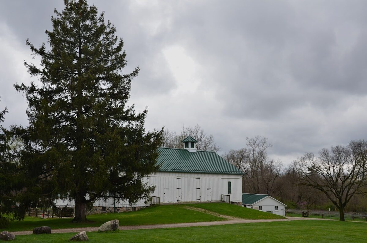 Bâtiment agricole moderne sur prairie verte