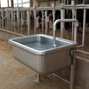 Abreuvoir pour vaches : types, installation et entretien en élevage